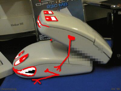 souris par sexy